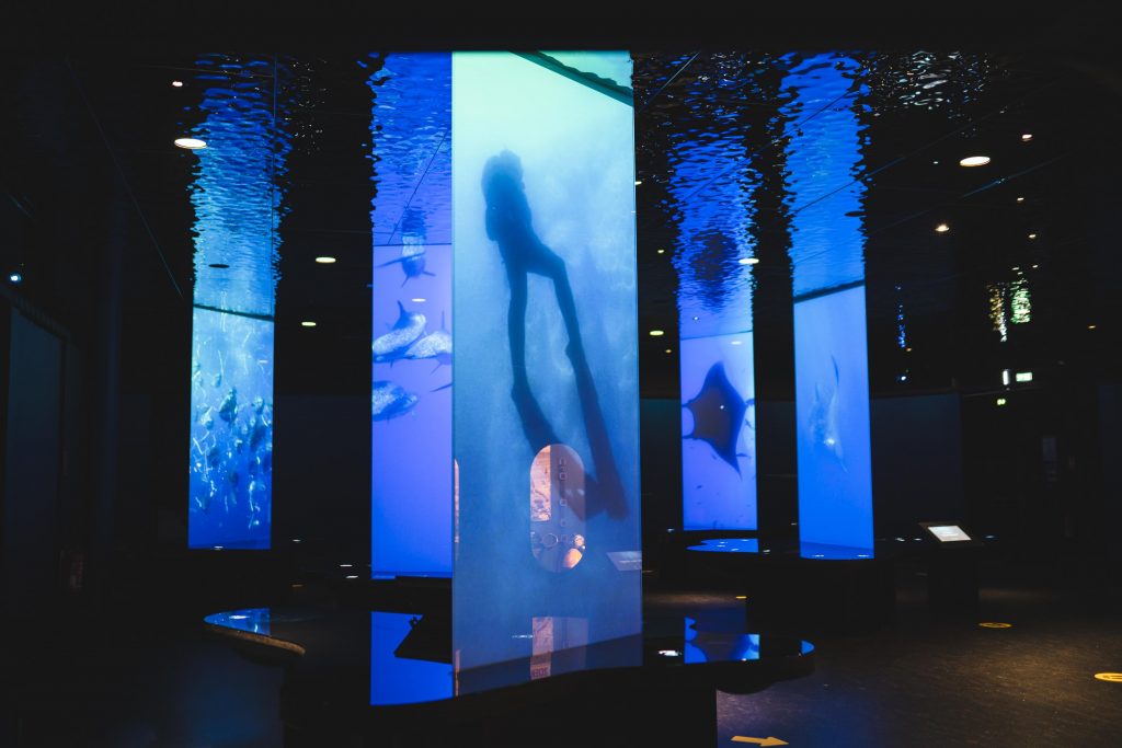 Exposition Aquarium photographe normandie
