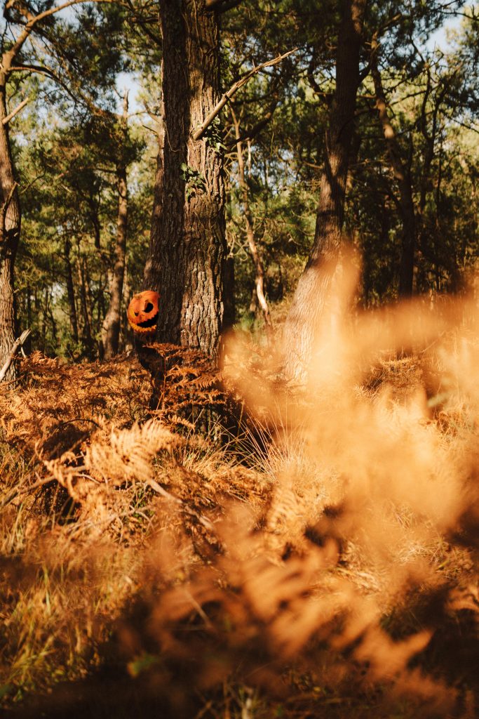 photographe homme modèle normandie